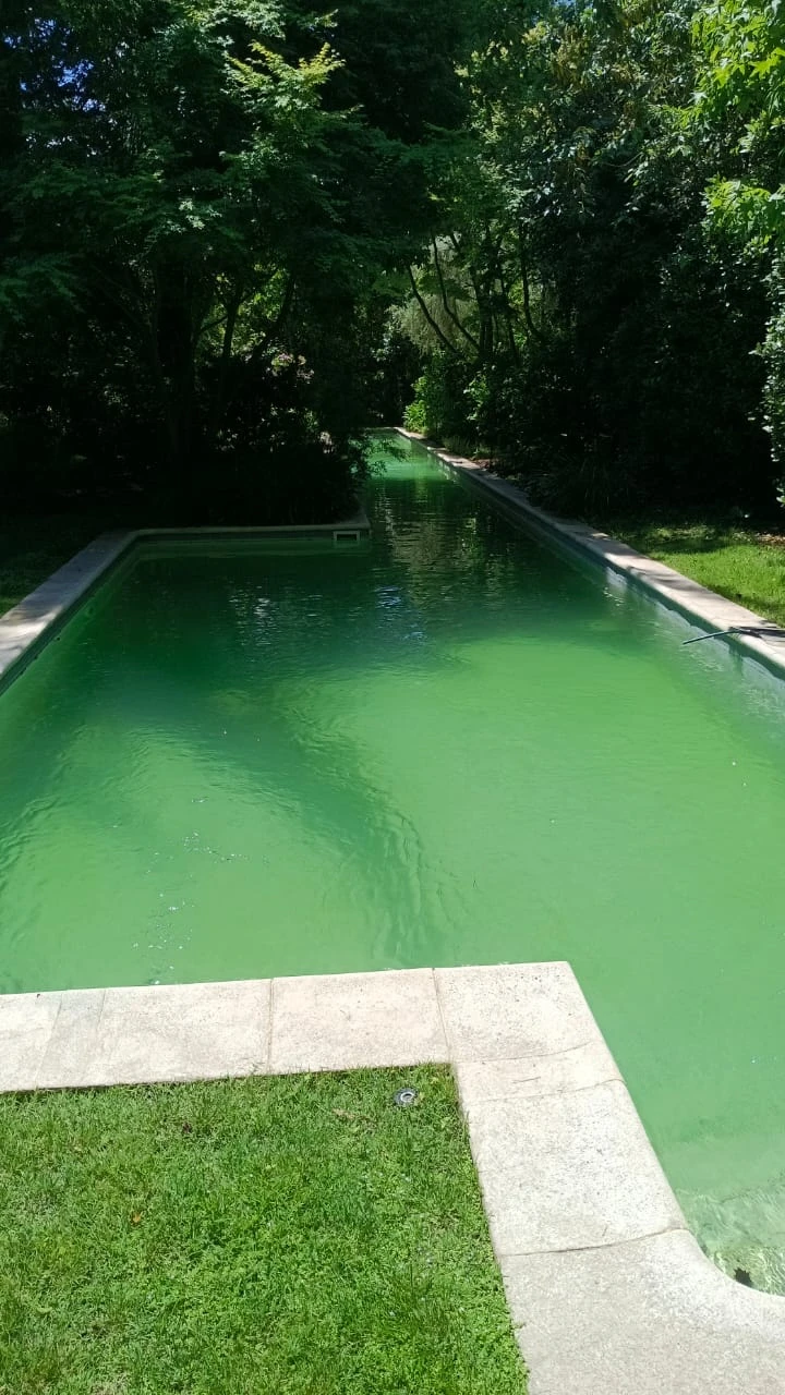 Piscina alargada con el agua completamente verde por algas
