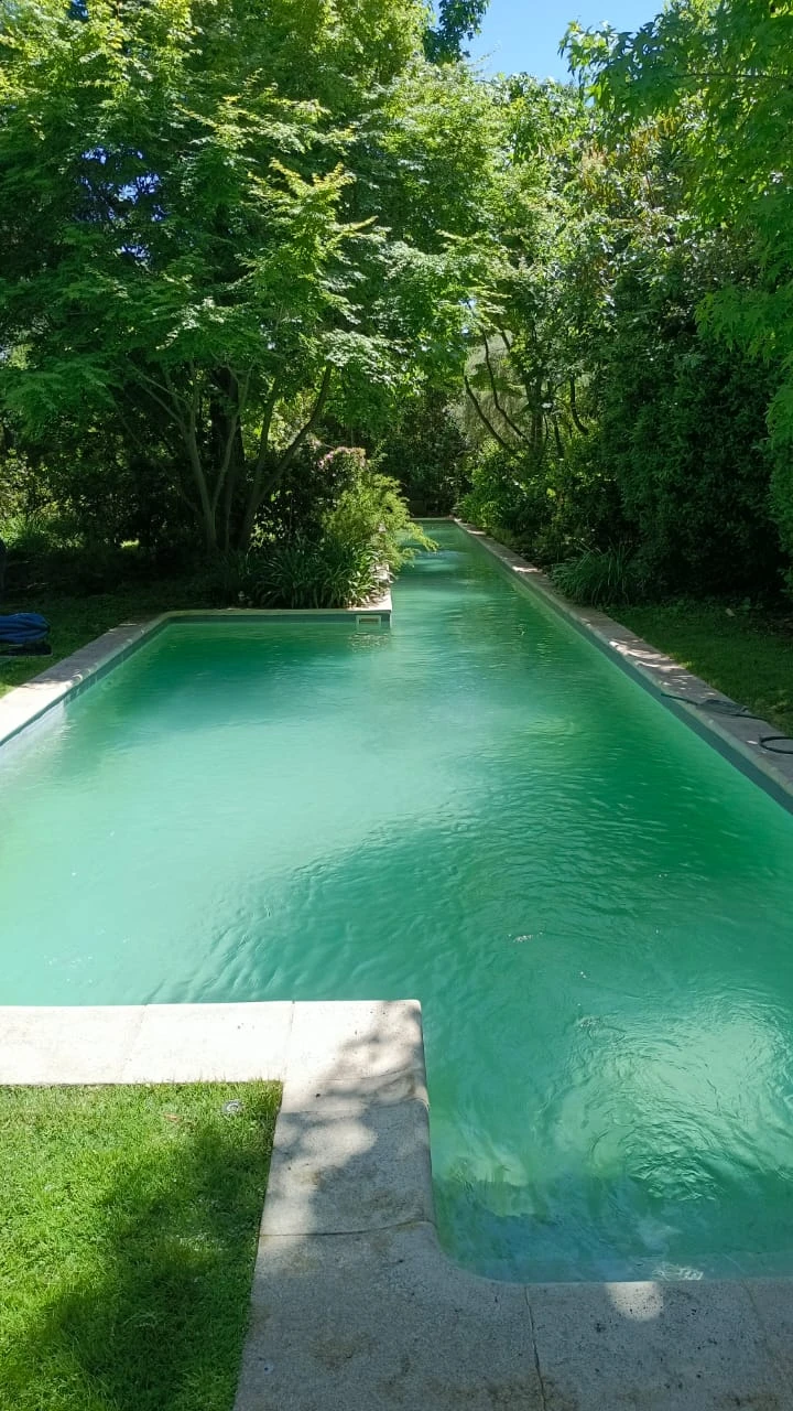 La misma piscina alargada con el agua ya clara